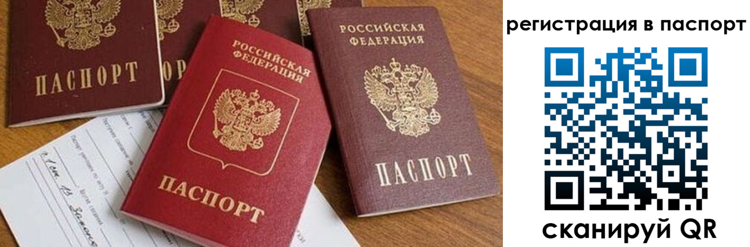 прописка в Истре